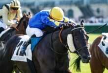 Le Rôle des Jockeys et des Entraîneurs : Ces Maîtres Invisibles du Turf
