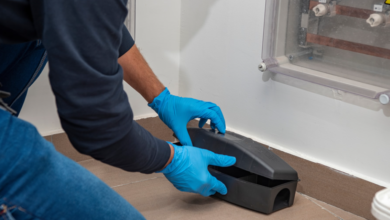 Keeping Your Home Safe: Modern Pest Control Solutions in Chelmsford