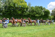 Why Runner Analysis is Your Best Asset in the Quinté+