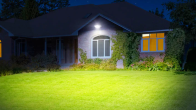 How to Choose the Perfect Outdoor Barn Lights for Your Property