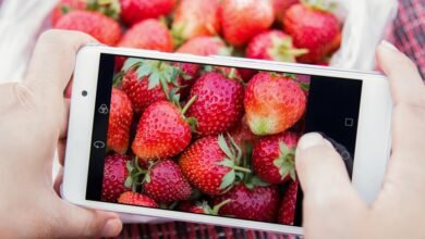 market penetration data overview