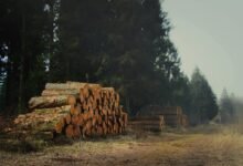 device management and logs