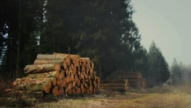 device management and logs