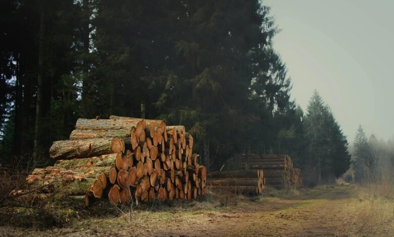 device management and logs