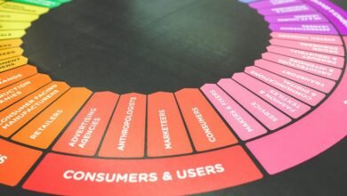 user engagement and insights