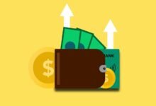 vector flow revenue growth