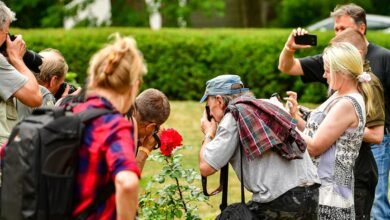 amateur content gaining online attention