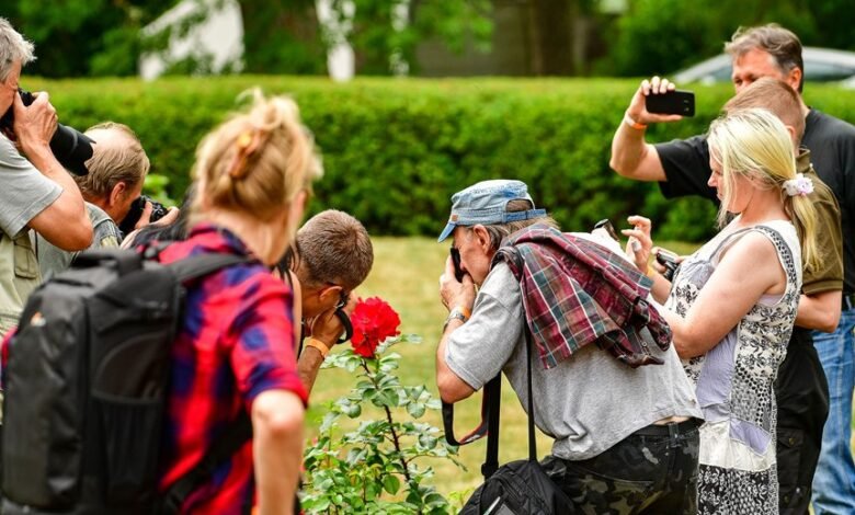 amateur content gaining online attention